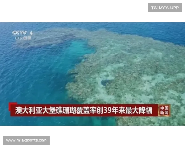 宁格鲁礁浮潜生态调查显示珊瑚覆盖率回升引发全球海洋保护热议